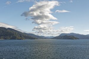 新米の炊き方をマスターするためのポイントは？