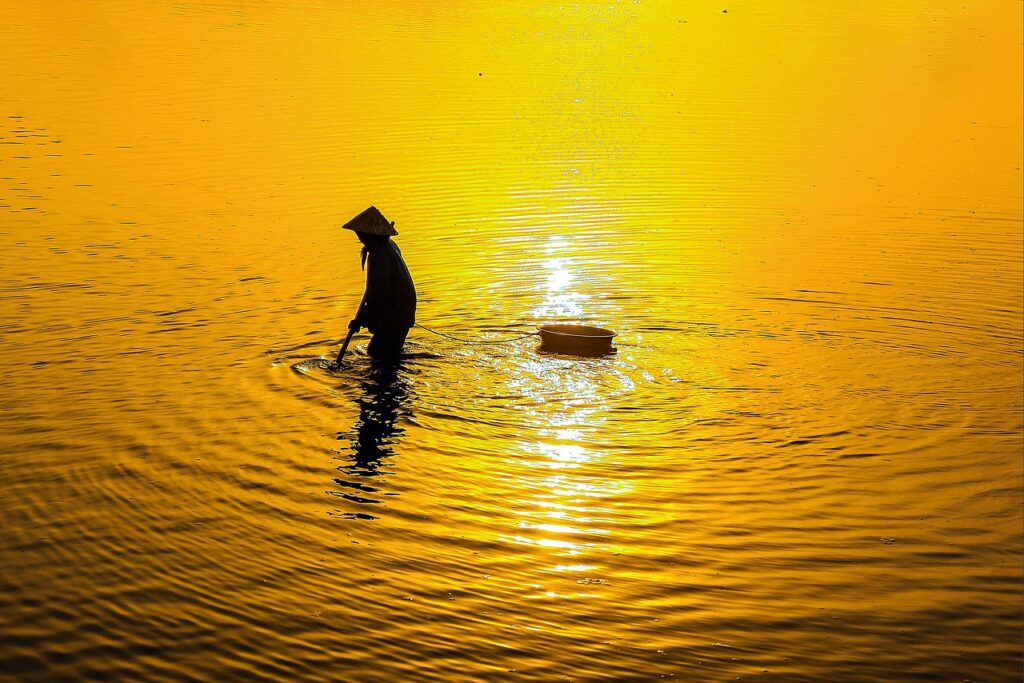 有機米の中でおすすめの銘柄はどれですか？