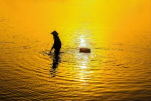 有機米の中でおすすめの銘柄はどれですか？