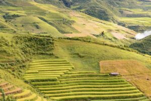 炊き込みご飯を無洗米で作るとどんな美味しさになるの？