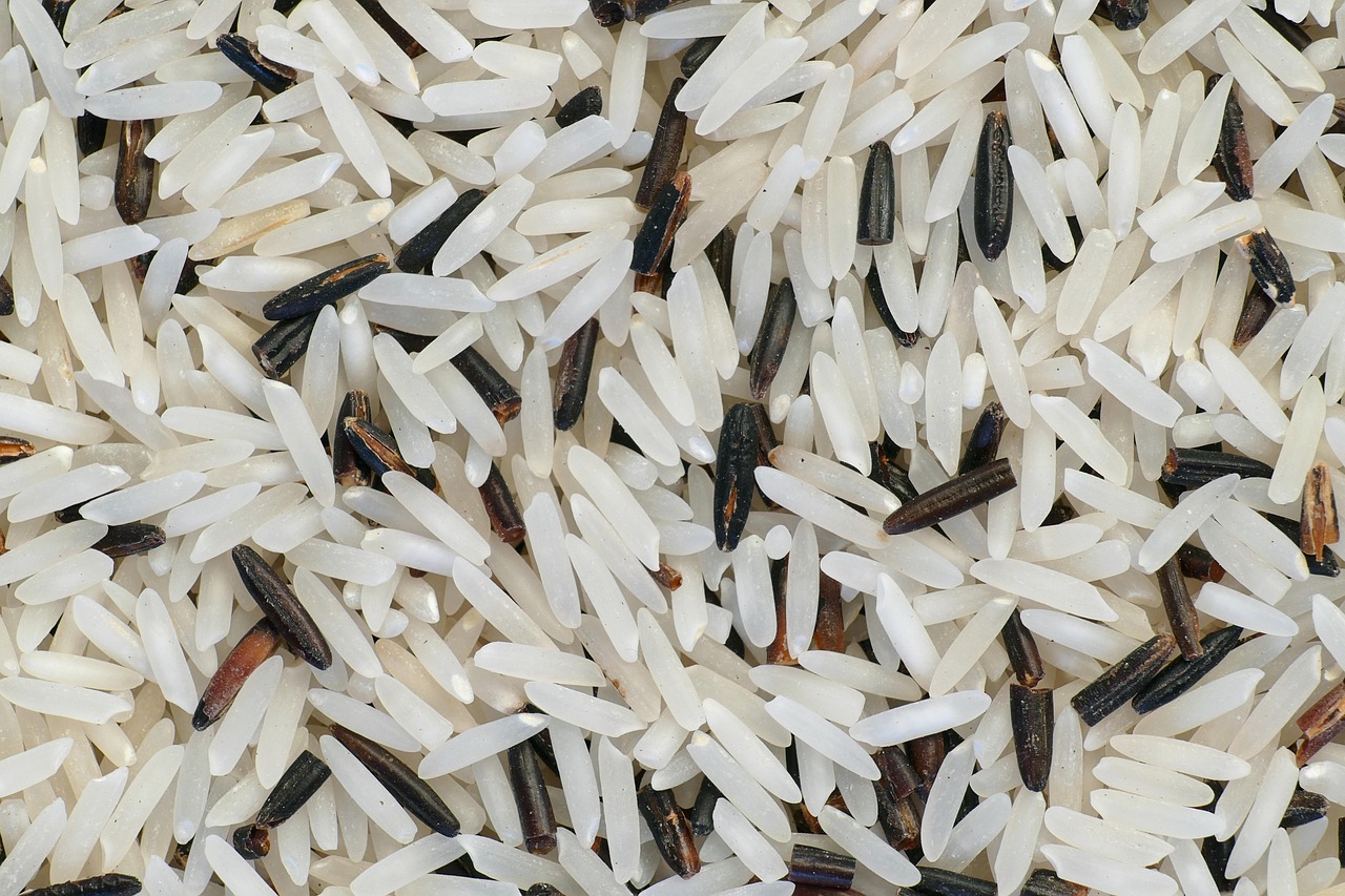 無農薬米のおすすめ銘柄はどれ？