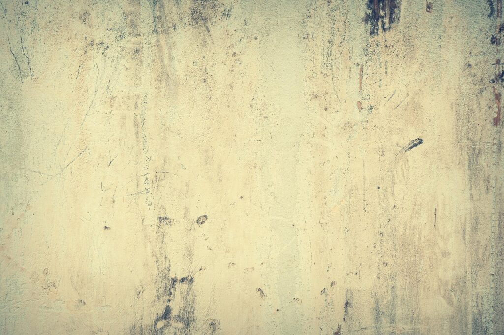 高齢者に最適なブランド米の選び方は？