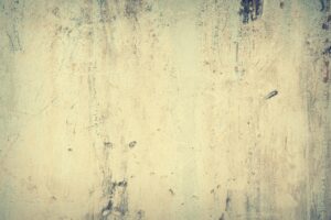 高齢者に最適なブランド米の選び方は？