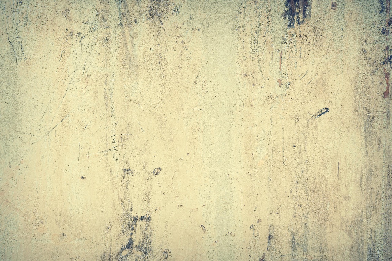 高齢者に最適なブランド米の選び方は？