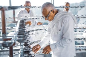 新米の芯が残る原因とその対処法は？