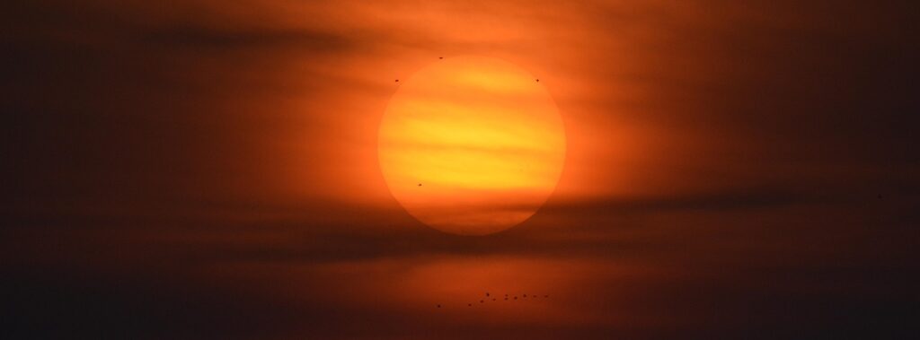 ブランド米の食べ比べセットでおすすめの品は？