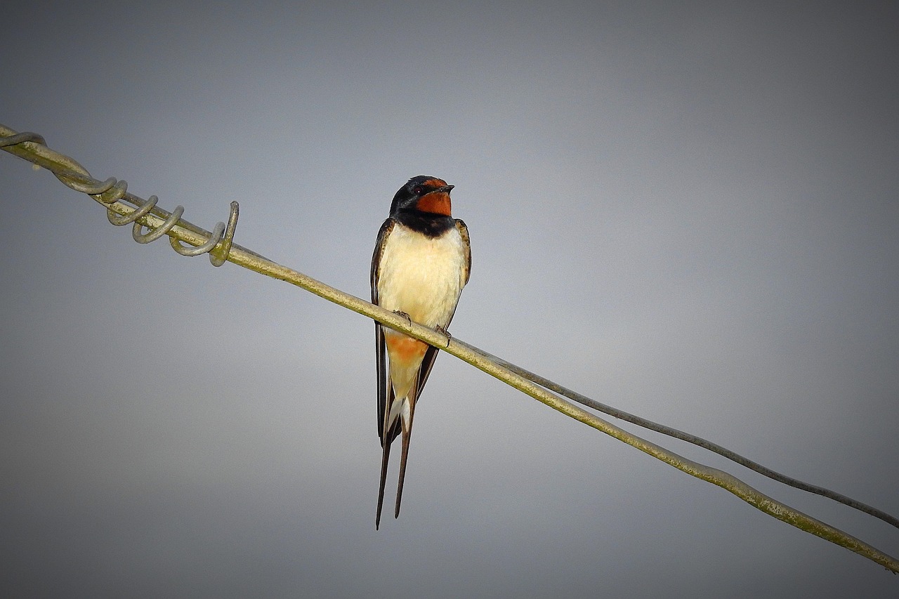 新米のぬかの残りはどうやって取り方すれば良いの？