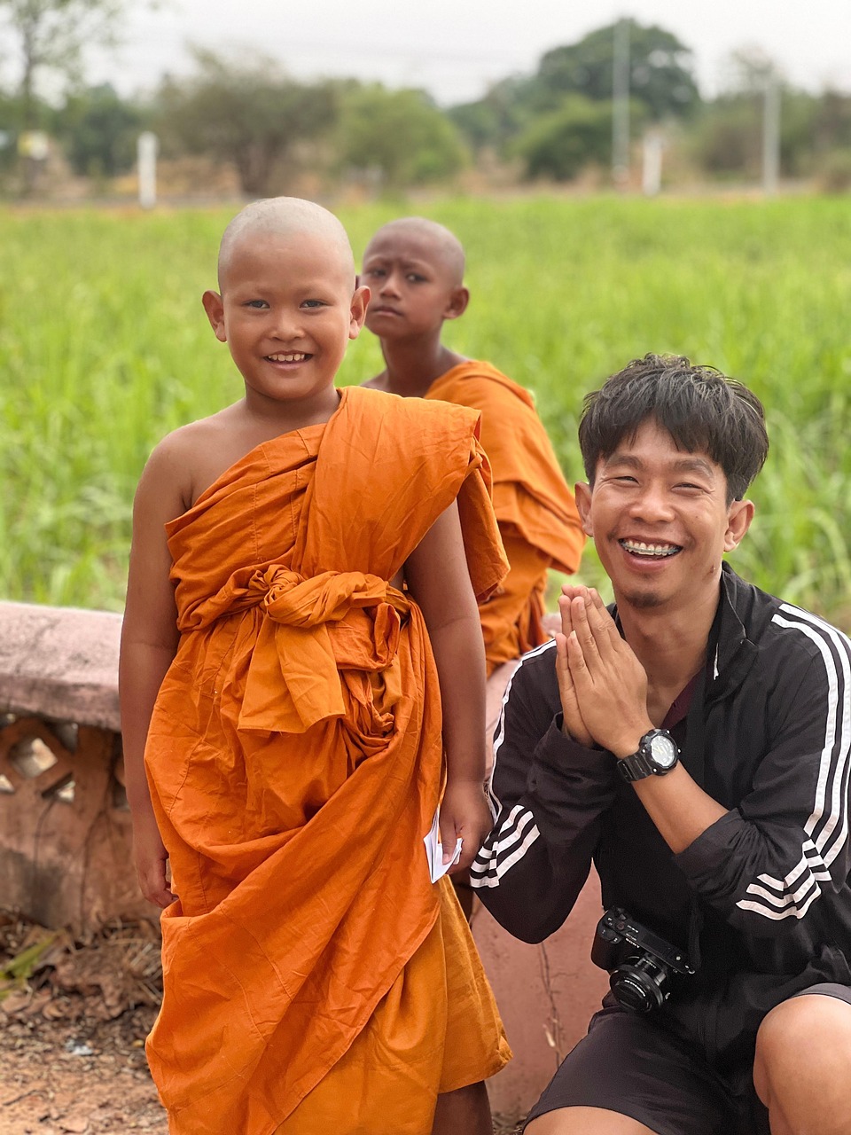 新米のブランド米で初心者におすすめの定番は？