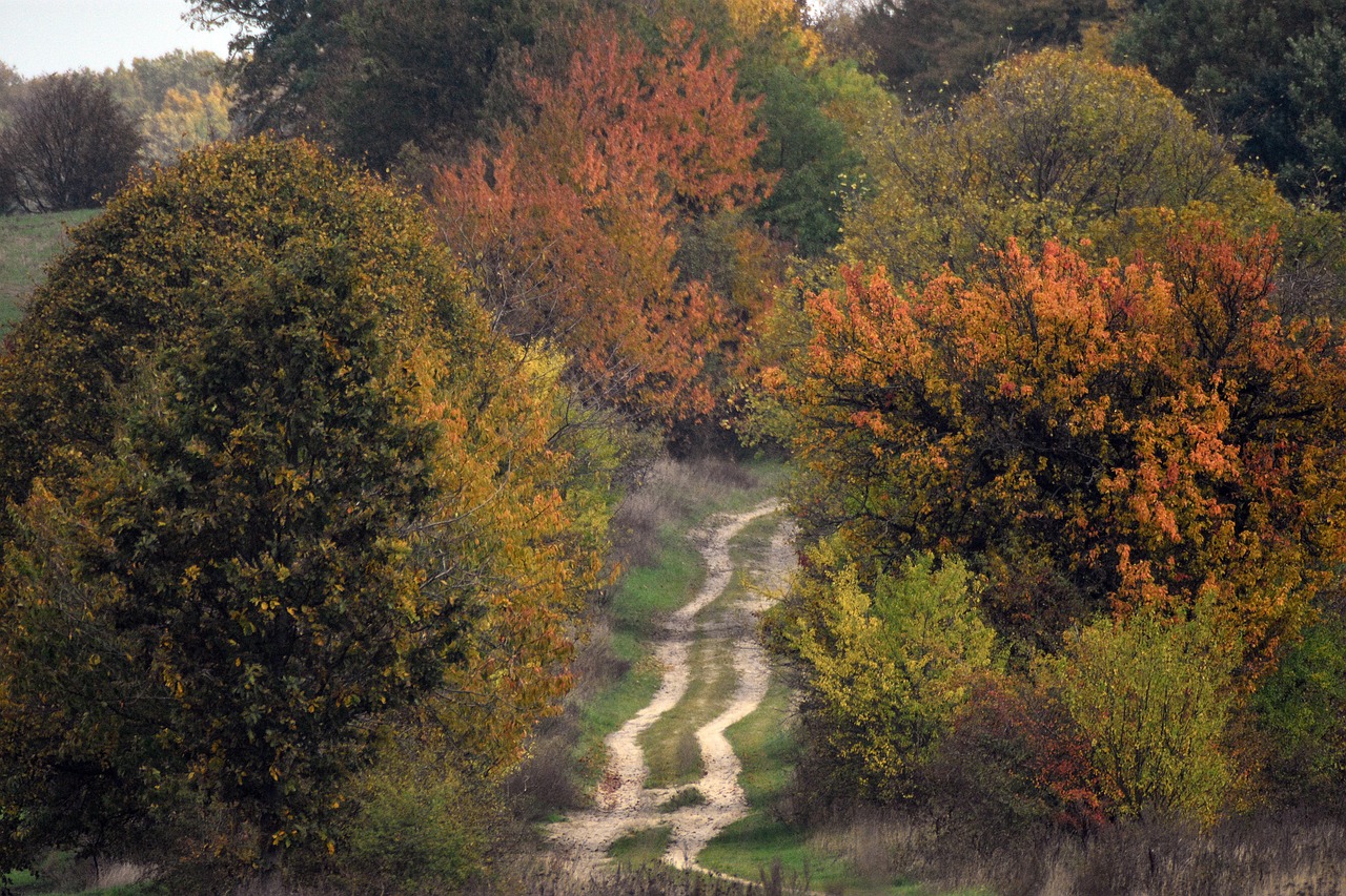 新米の解凍ムラを防ぐ方法とは？