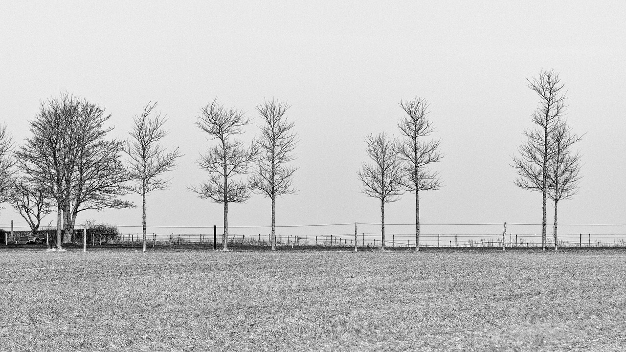 新米を冷凍焼けから防ぐ包み方は？