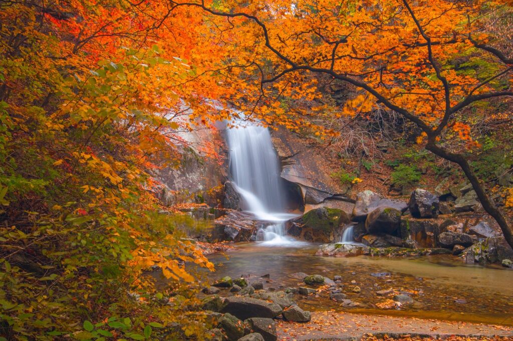 新米の風味が落ちるサインとは何ですか？