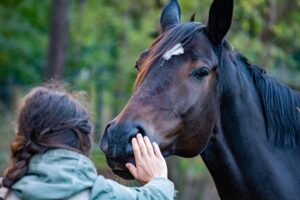 お米の選び方を比較する際のポイントは？