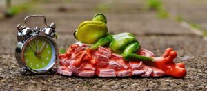 新米の産地はどこがおすすめ？